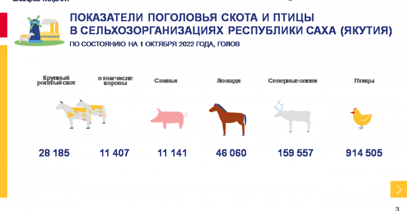 Показатели животноводства в сельхозорганизациях Республики Саха (Якутия) за январь-сентябрь 2022 года